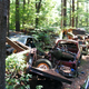 Illustration for article titled Massive Secret Mustang Junkyard Found In Rhode Island Forest